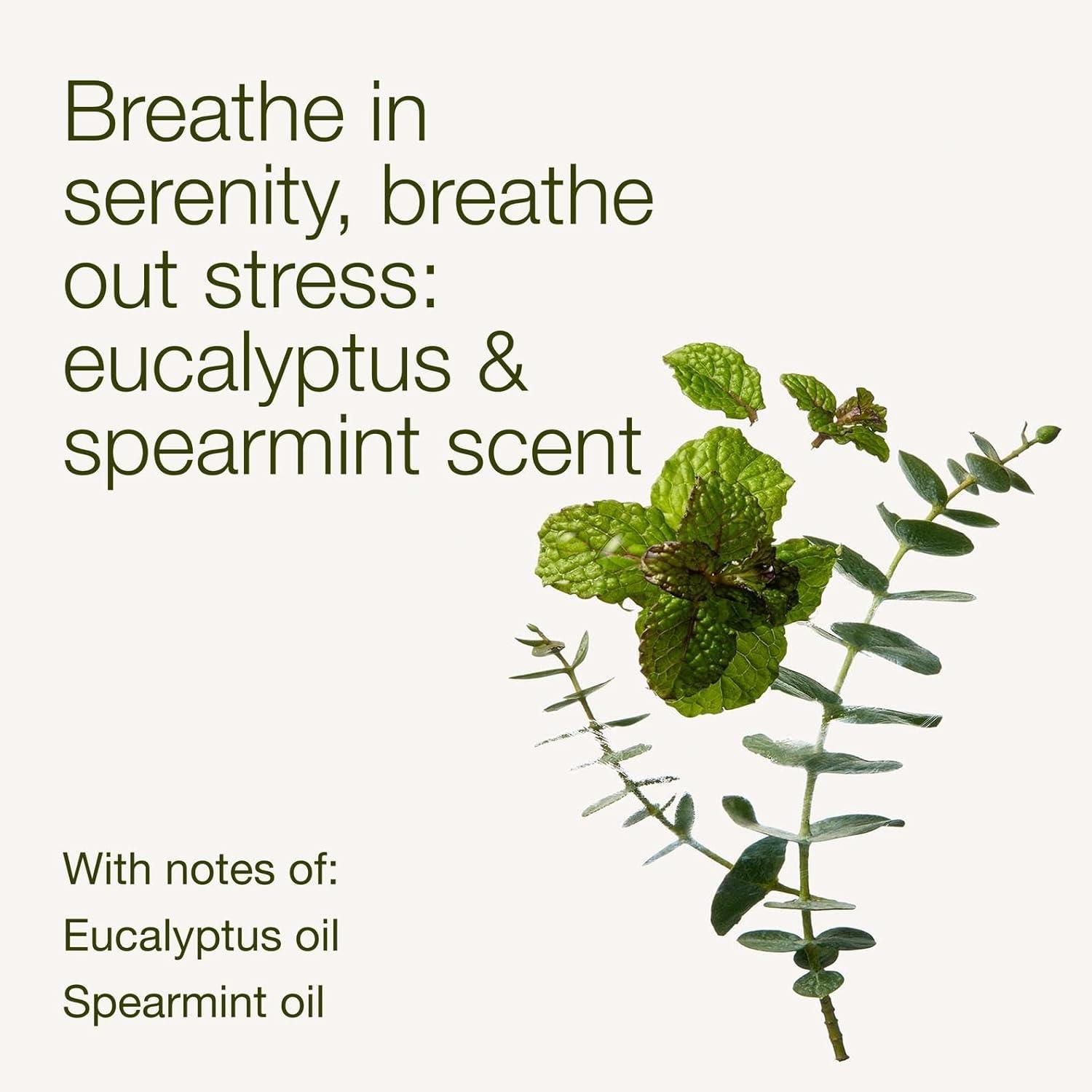 image:imageBath amp Body Works Eucalyptus Spearmint Body Wash amp Foam Bath Aromatherapy Cleanser with Vitamin E amp Aloe NonDrying amp Gentle for Daily Use 10 fl oz 2 Pack