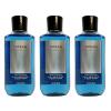 image:imageBath amp Body Works 3in1 Hair Face amp Body Wash for Men  Ocean Scent Mens Shampoo amp Cleanser with ProVitamin B5 amp Aloe Coastal Air amp Cypress Scent 10 fl oz  2 PackOcean