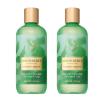 image:imageBath amp Body Works Eucalyptus Spearmint Body Wash amp Foam Bath Aromatherapy Cleanser with Vitamin E amp Aloe NonDrying amp Gentle for Daily Use 10 fl oz  2 Pack