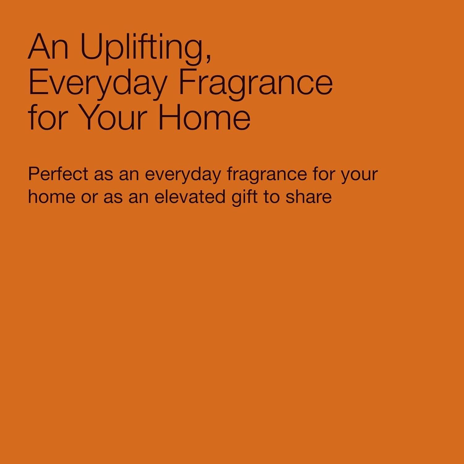 image:imageBath amp Body Works Single Wick Candle Sweet Orange amp Agave Candle LongLasting Burn Up to 45 Hours Exclusively Fragranced Soy Wax Blend 8 oz 2 Pack