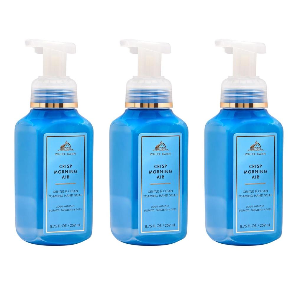image:imageBath amp Body Works Crisp Morning Air Gentle amp Clean Foaming Hand Soap GermCleansing Hand Soap with Gentle Cleansing amp Conditioning Formula Dermatologist Approved Thoughtful Gift 3Pack