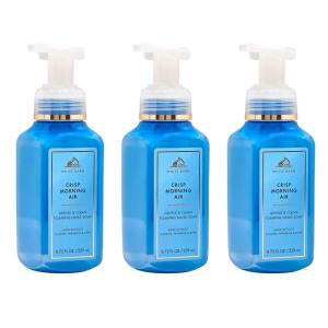 Bath & Body Works Crisp Morning Air Gentle & Clean Foaming Hand Soap – Germ-Cleansing Hand Soap with Gentle Cleansing & Conditioning Formula – Dermatologist Approved – Thoughtful Gift – 3-Pack