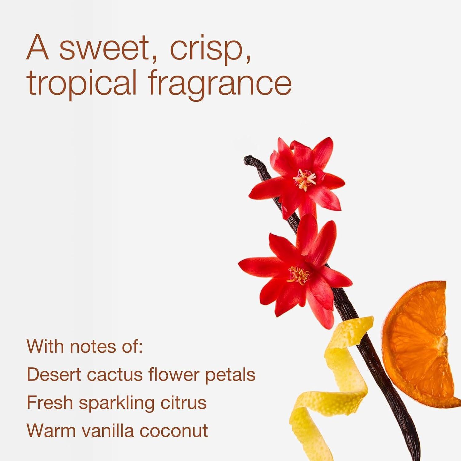 image:imageBath amp Body Works Japanese Cherry Blossom 3Wick Candle Scented Candle for Home Use LongLasting RoomFilling Fragrance High Fragrance Oil Concentration Soy Wax Blend 2PackCactus Blossom