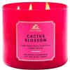 Cactus Blossom