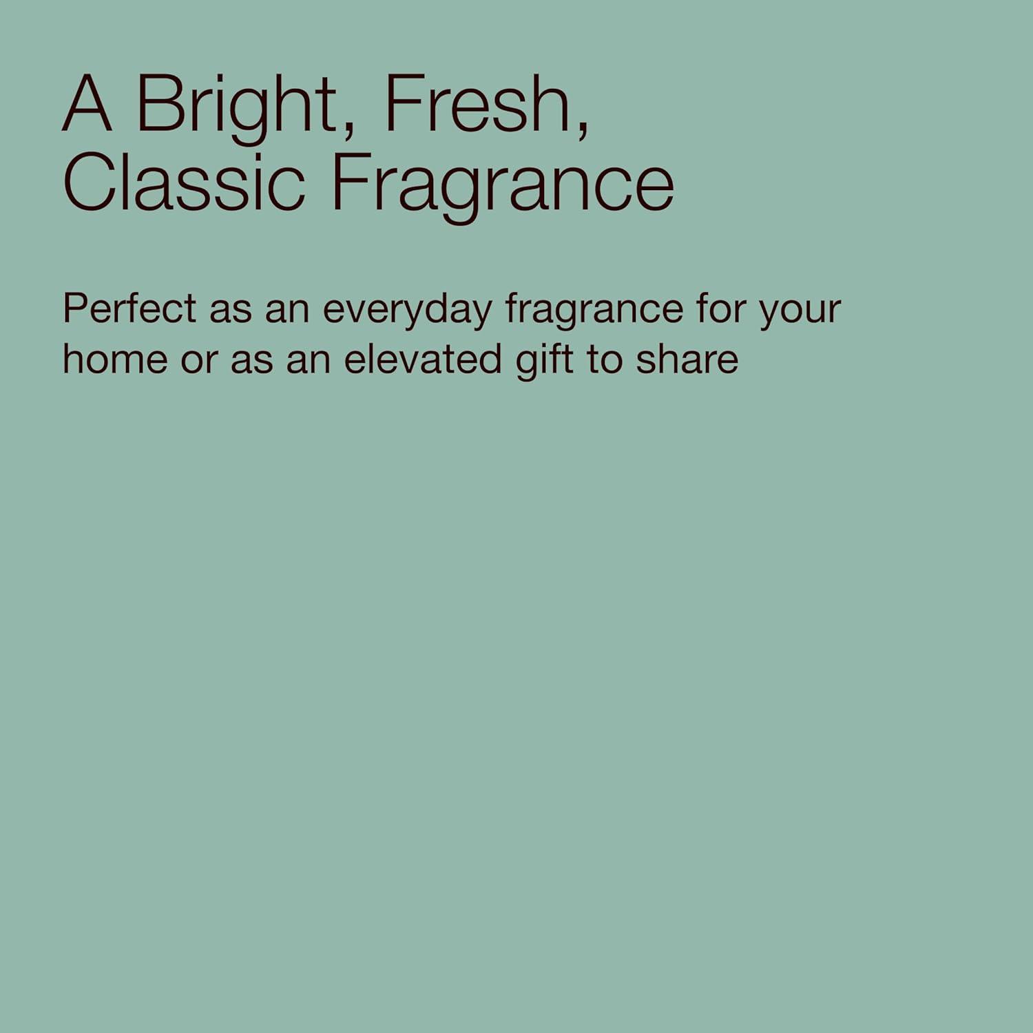 image:imageBath amp Body Works White Tea amp Sage Gentle amp Clean Foaming Hand Soap GermCleansing Hand Soap with Gentle Cleansing amp Conditioning Formula Dermatologist Approved Thoughtful Gift 3PackKitchen Lemon